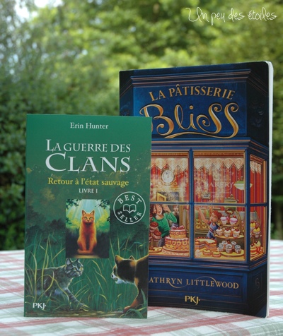 livres-clemence